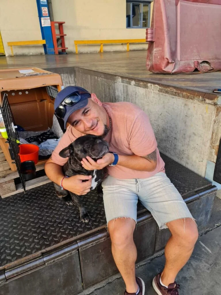 traslado de mascotas internacional